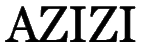Azizi Developments L.L.C
