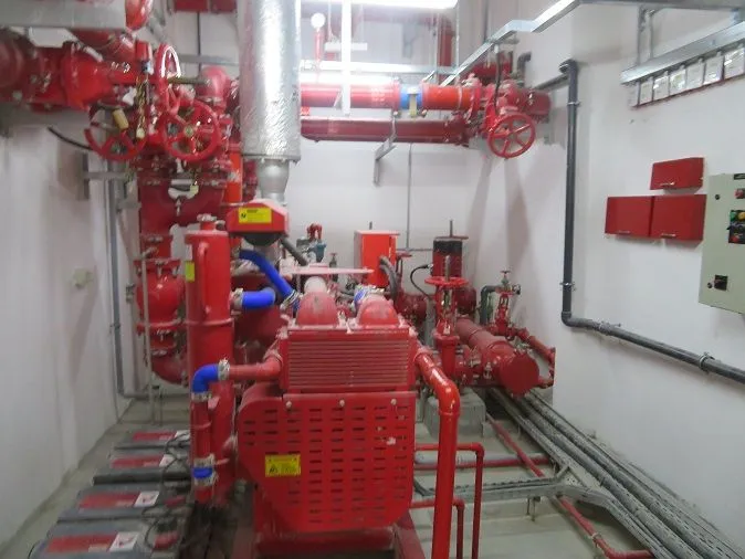 project inspections