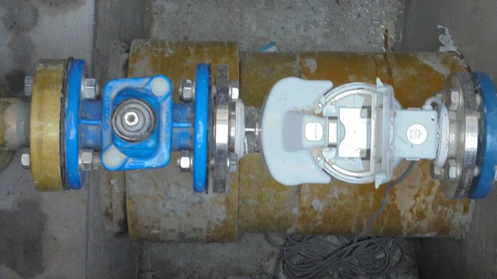 project inspections