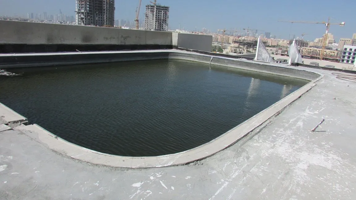 project inspections