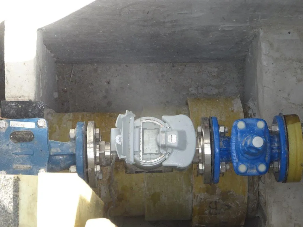 project inspections