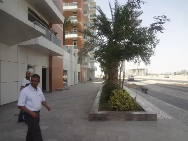 project inspections