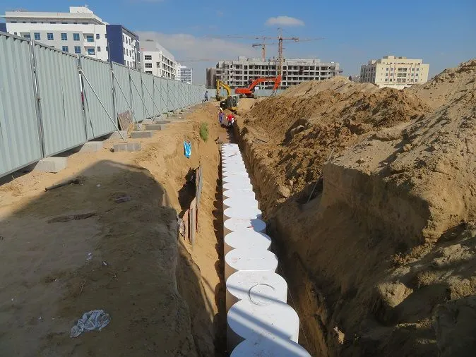 project inspections