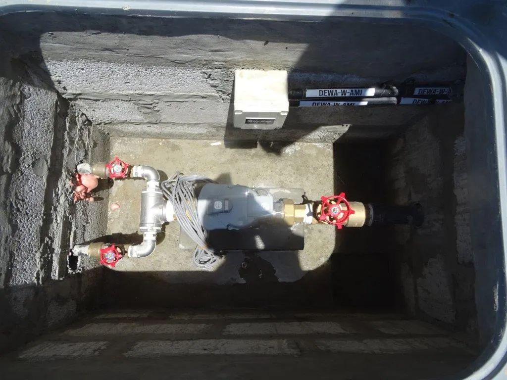 project inspections