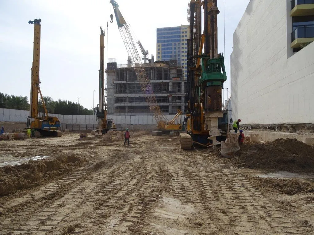 project inspections