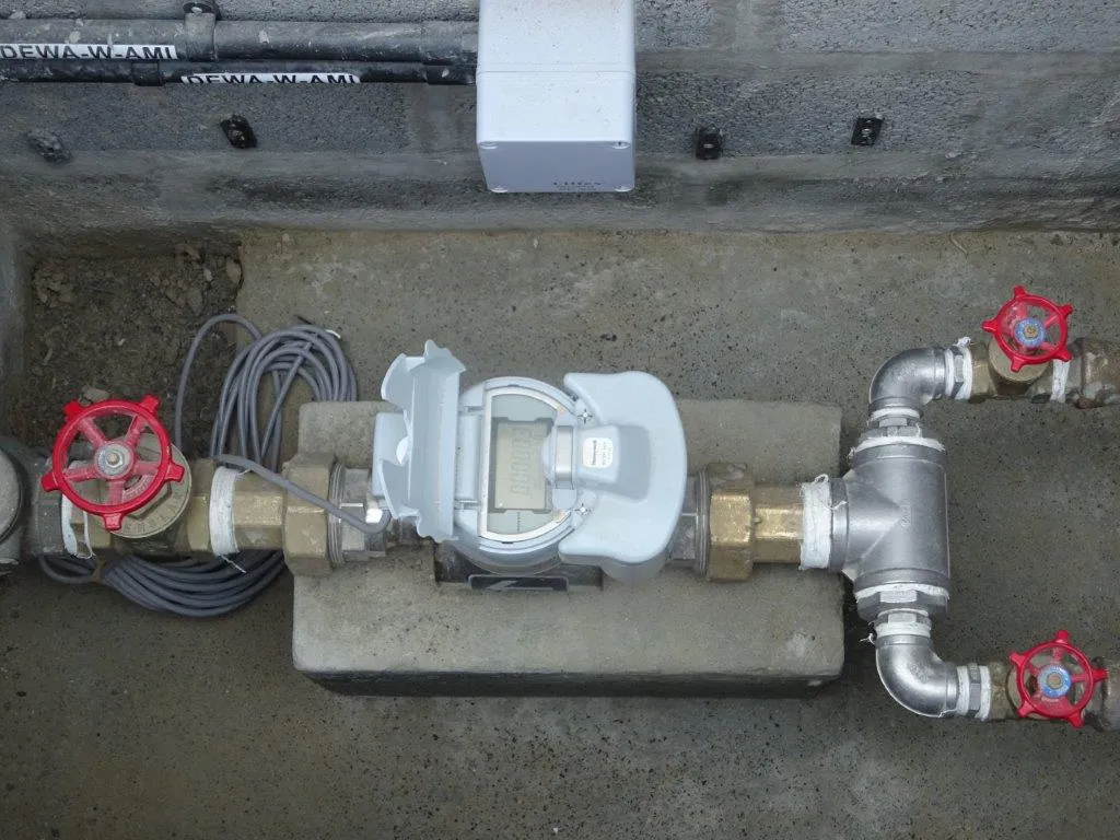 project inspections