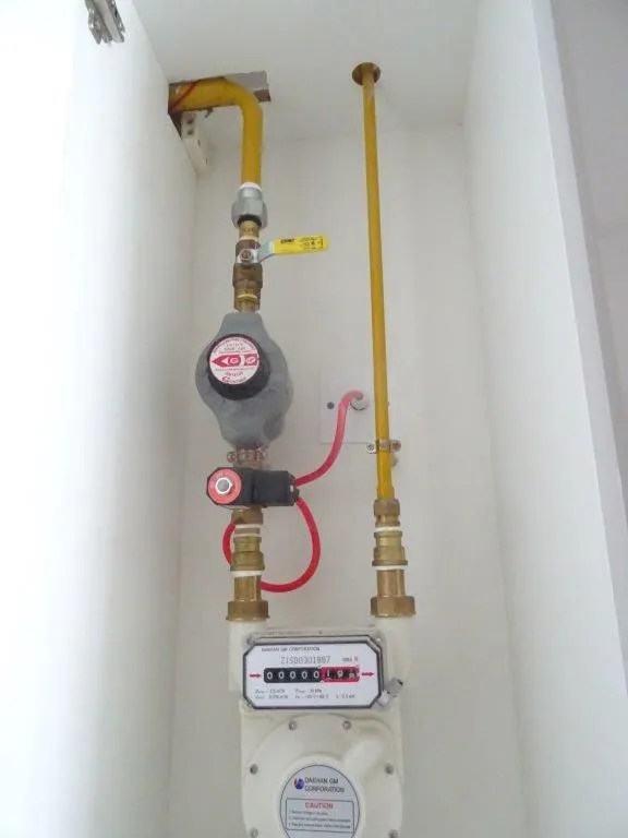 project inspections