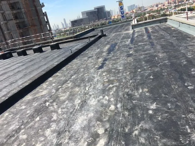 project inspections