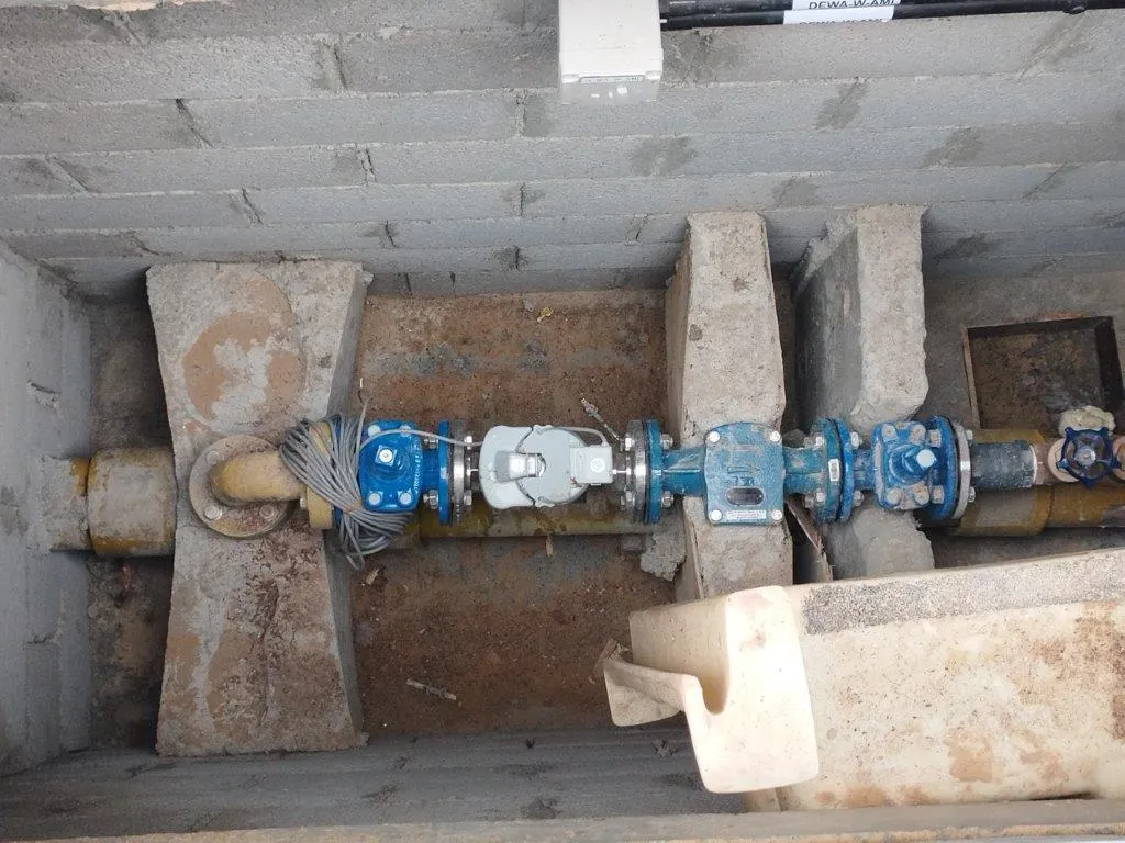 project inspections