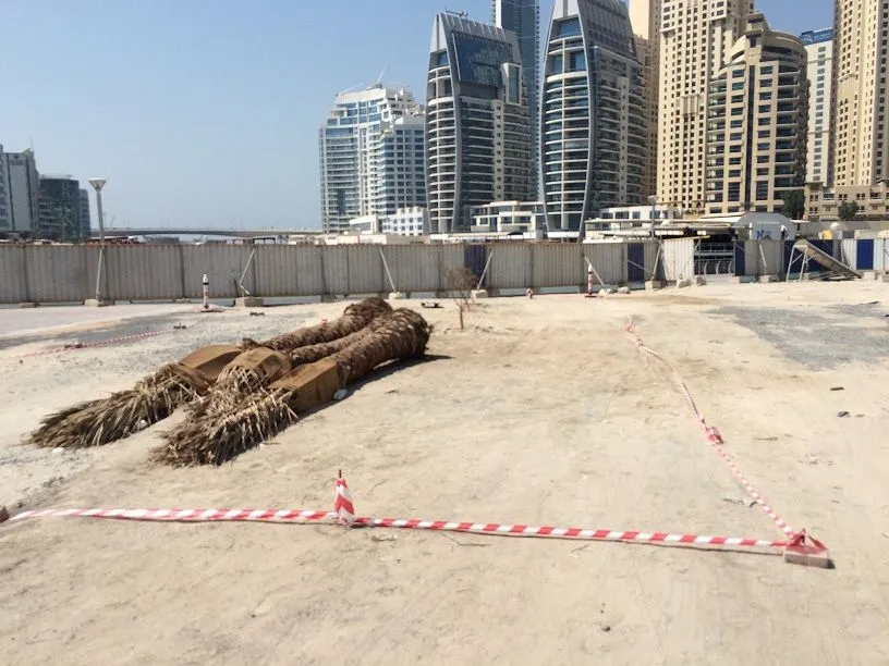 project inspections