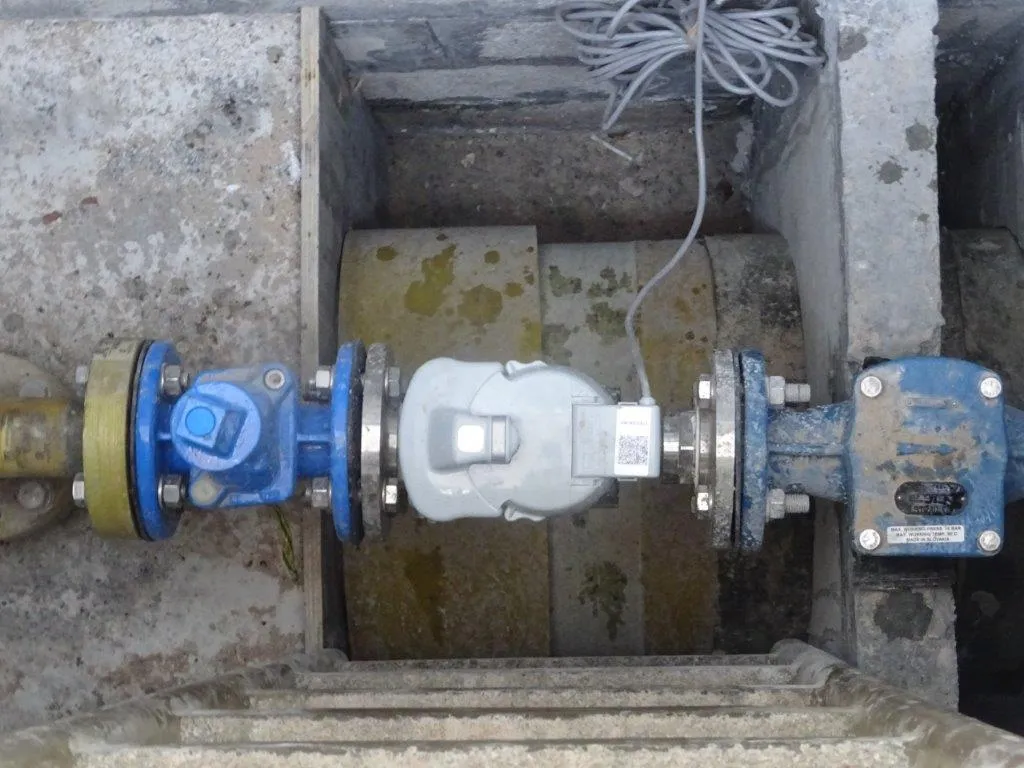 project inspections