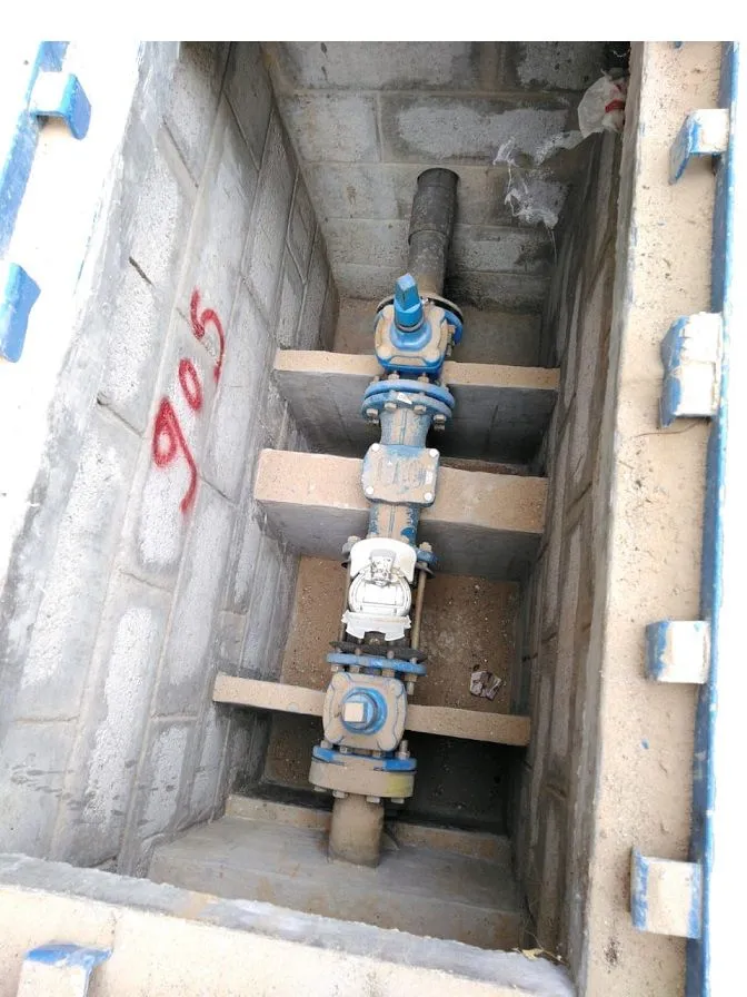 project inspections