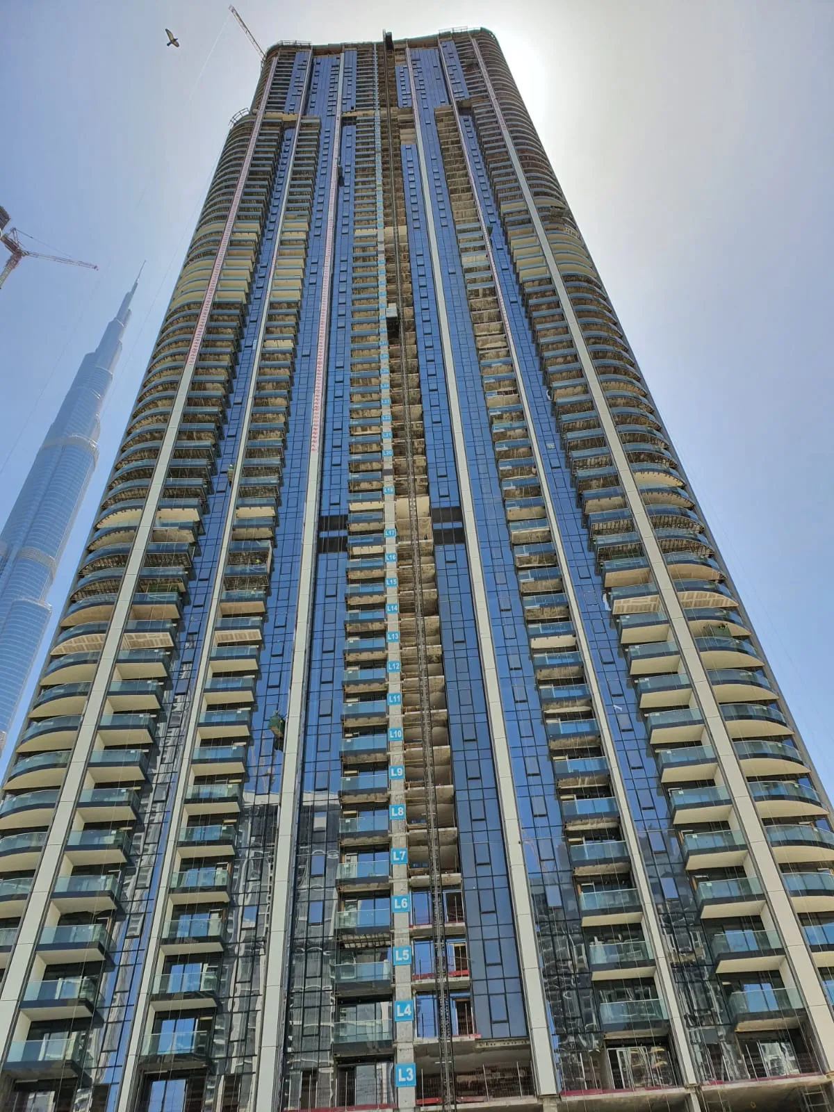 project inspections