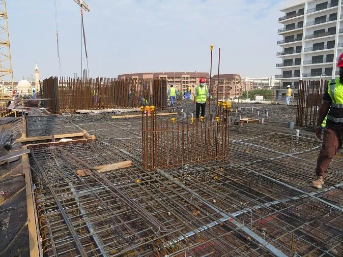 project inspections