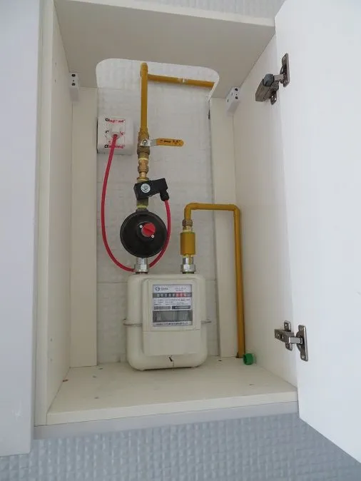 project inspections