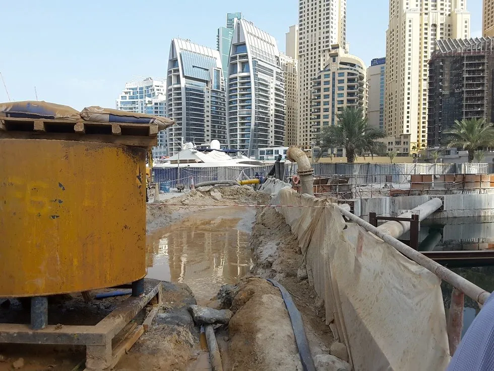 project inspections