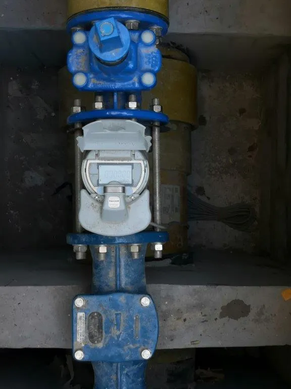 project inspections