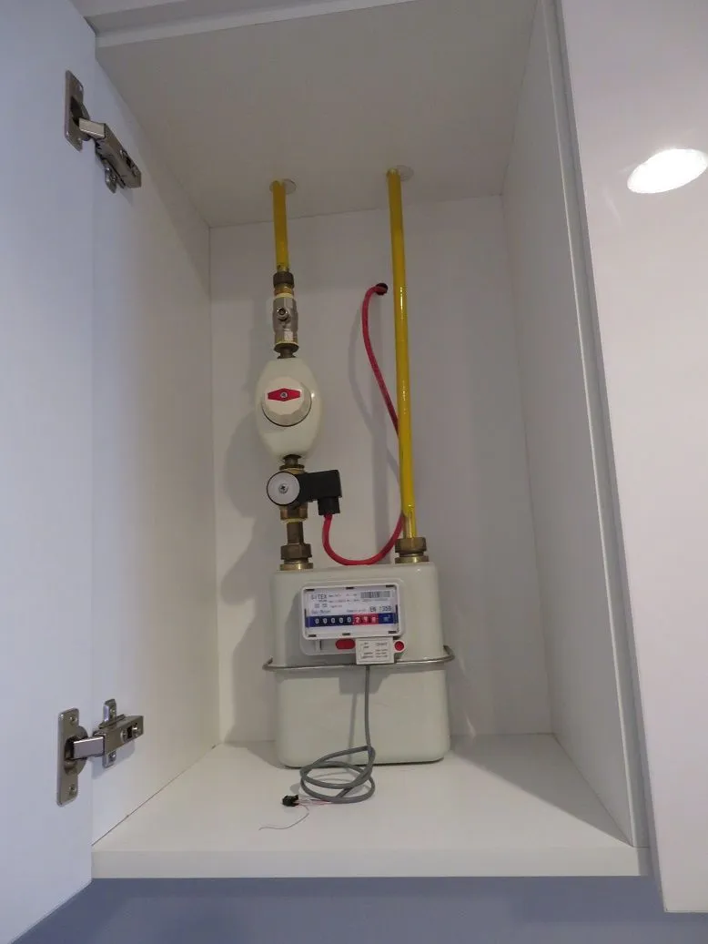 project inspections