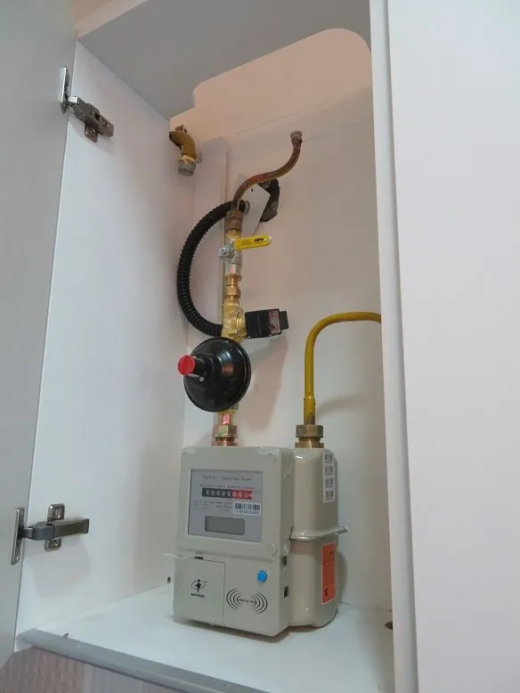 project inspections