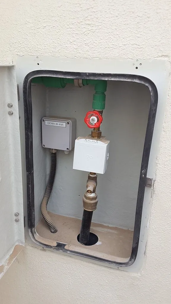 project inspections