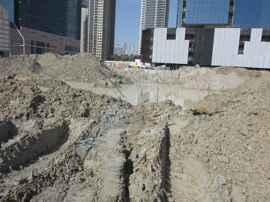project inspections