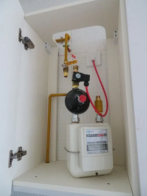 project inspections