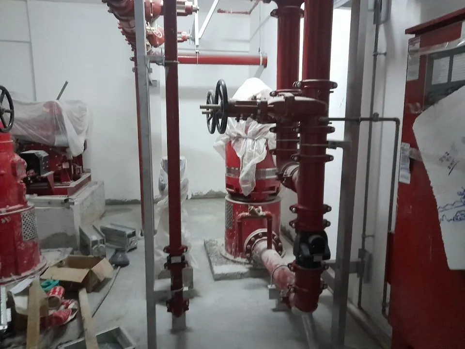 project inspections