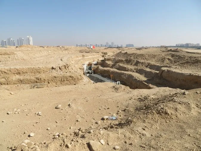 project inspections