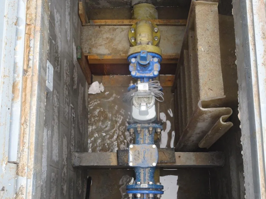 project inspections
