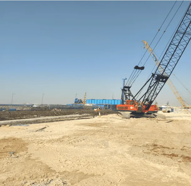 project inspections