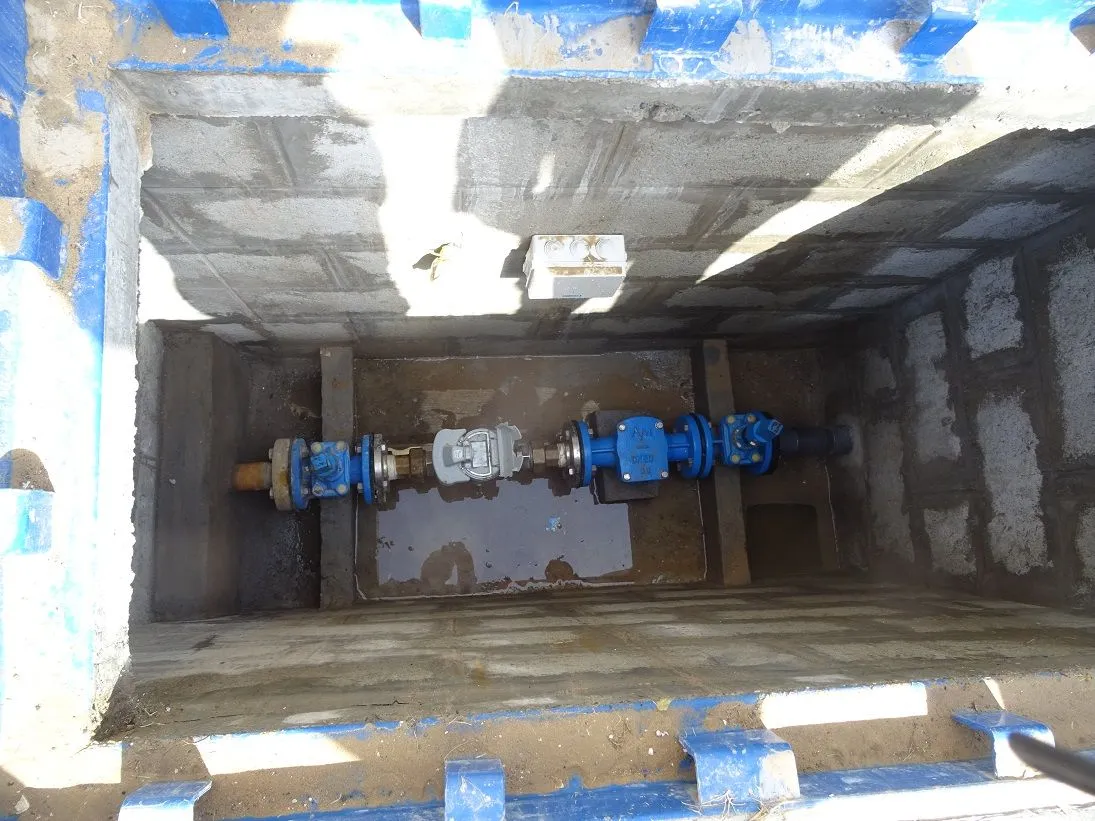 project inspections