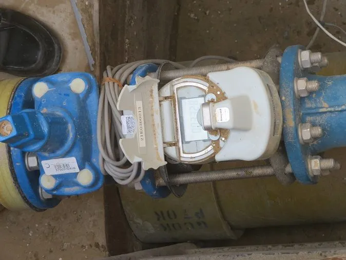project inspections