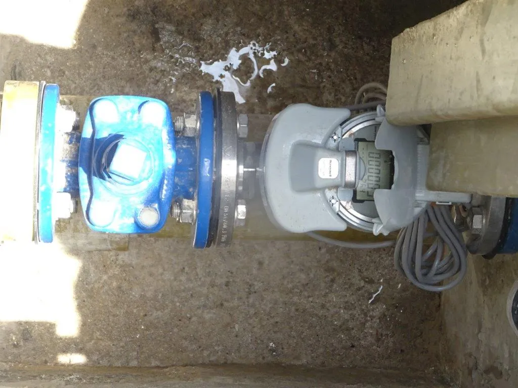 project inspections