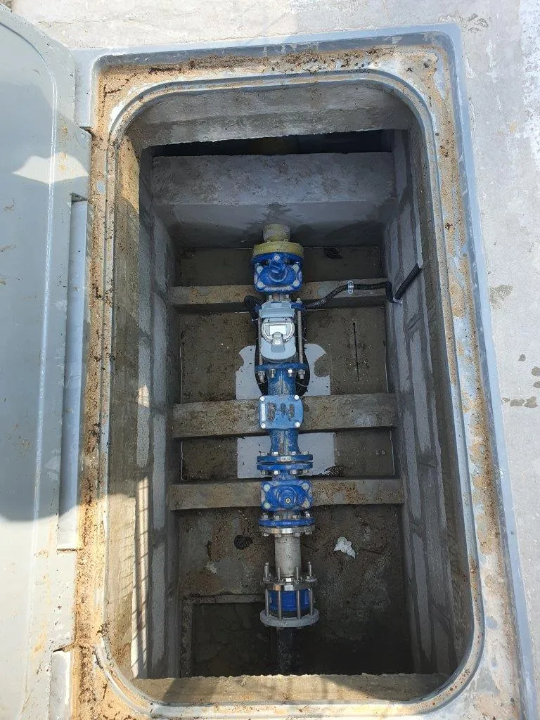 project inspections