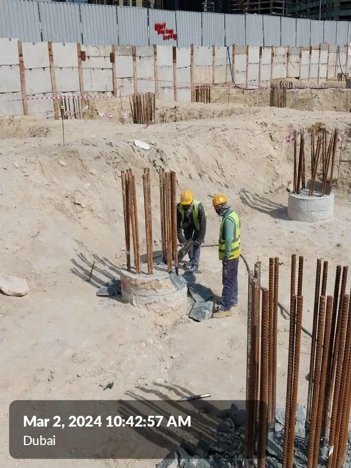 project inspections