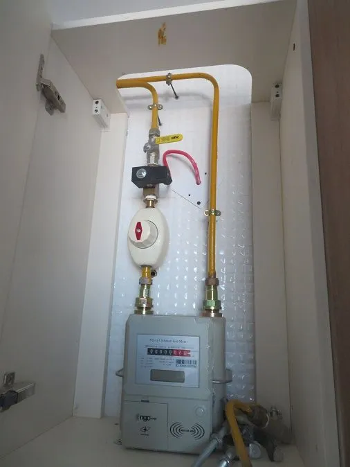 project inspections