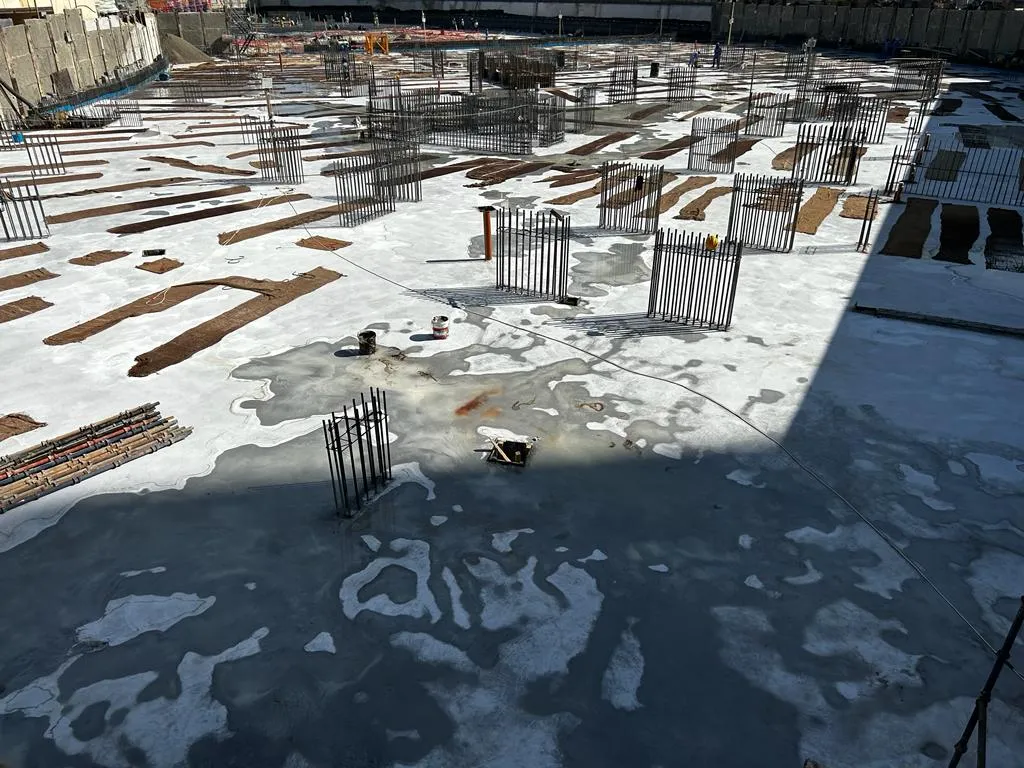 project inspections