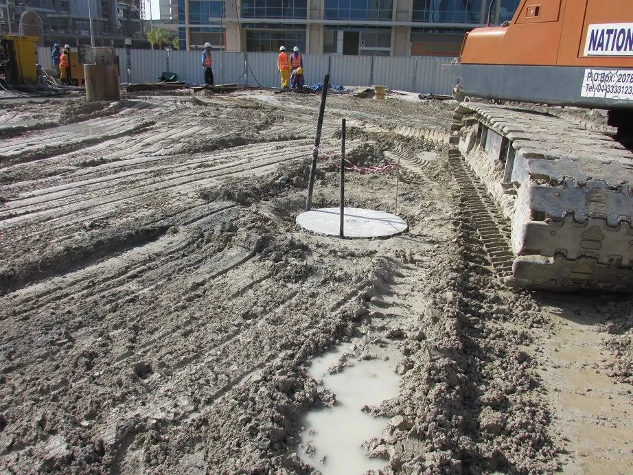 project inspections